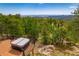 Relaxing hot tub on a wooden deck with stunning views of the surrounding trees at 8838 Hillview Rd, Morrison, CO 80465