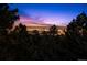 Night view of city lights from a scenic overlook, framed by lush trees at 8838 Hillview Rd, Morrison, CO 80465
