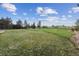 Spacious backyard with grass, landscaping, and views at 5605 Killen Ave, Castle Rock, CO 80104