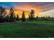 Residential lot backing to open space at sunset with mature evergreens and a wooden fence at 5605 Killen Ave, Castle Rock, CO 80104