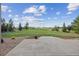Spacious backyard with grass, landscaping, and views at 5605 Killen Ave, Castle Rock, CO 80104