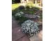 Close-up of lush landscaping with flowers and river rock near sidewalk at 377 S Grant St, Denver, CO 80209