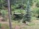 Overhead view of a tranquil pond, with dock, surrounded by lush trees, and landscaping at 9716 Canon Dr, Sedalia, CO 80135