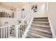 Open staircase featuring white railings and neutral carpeting at 3625 Silver Rock Cir, Castle Rock, CO 80104