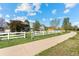A grassy strip parallels a concrete walkway and a white picket fence, with a path leading to a gate at 5249 Mt Arapaho Cir, Frederick, CO 80504