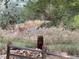 Picturesque backyard wildlife scene of deer behind a rustic fence and some rockwork at 3865 Independence Ct, Wheat Ridge, CO 80033