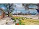 Landscaped front yard with a street view, rocks, and spring bulbs at 7785 E 13Th Ave, Denver, CO 80220