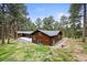 Exterior features beautiful wooden home surrounded by mature pine trees at 26499 West St, Conifer, CO 80433