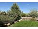 Scenic backyard landscape with lush greenery and rock features for a serene outdoor experience at 10565 Kicking Horse Dr, Littleton, CO 80125