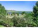 Breathtaking mountain and lake view, enhanced by lush greenery, showing the natural beauty surrounding the property at 10565 Kicking Horse Dr, Littleton, CO 80125