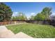 Well-maintained backyard featuring a lush lawn, mature trees, and a fenced perimeter at 1232 Bluebird St, Brighton, CO 80601