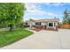 Charming single-story home featuring a well-manicured lawn, mature trees, and a spacious driveway at 6513 Gray St, Arvada, CO 80003