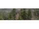 Stunning stone home in a mature forest setting at 1150 Madge Gulch Rd, Sedalia, CO 80135