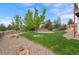 Spacious backyard with gravel, grass, rocks and mature trees, including a trampoline for recreation at 688 Cinnabar Ln, Castle Rock, CO 80108