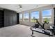 Bonus room with large windows, storage, carpeted floors and exercise equipment at 688 Cinnabar Ln, Castle Rock, CO 80108