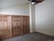 Bedroom featuring carpet, a ceiling fan, natural light, and built-in custom wood closet doors at 10178 Hutch Ln, Conifer, CO 80433