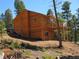 View of a two-story home with wood siding, ladder access, and surrounding trees on a hillside at 10178 Hutch Ln, Conifer, CO 80433