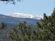 Scenic view showcasing snow-capped mountains against a clear sky, framed by lush greenery at 10178 Hutch Ln, Conifer, CO 80433