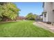 Expansive backyard featuring lush green lawn, wooden fence, and picturesque trees at 1641 Cedarwood Dr, Longmont, CO 80504