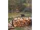 The backyard has a stack of firewood, a bear is wandering nearby in the forested area showing the natural wildlife at 11798 Ridge Rd, Golden, CO 80403