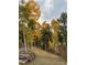 The backyard features mature aspens with golden leaves and a neatly stacked wood pile, blending rustic charm with natural beauty at 11798 Ridge Rd, Golden, CO 80403