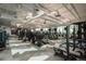 Extensive gym featuring treadmills, ellipticals, weight machines, and free weights for full workouts at 6480 Silver Mesa Dr # B, Highlands Ranch, CO 80130