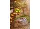 Exterior shot of backyard with a rock, foliage, and a view of the side of the home at 3231 Oak St, Wheat Ridge, CO 80033