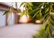 Blurred background of exterior area with hanging willow tree branches at 3231 Oak St, Wheat Ridge, CO 80033