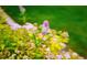 Close up of garden with pink and white flowers and green background at 3231 Oak St, Wheat Ridge, CO 80033