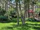 Lush backyard with mature trees, green grass, and a patio set with umbrella, perfect for outdoor relaxation at 19850 Indian Summer Ln, Monument, CO 80132