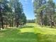 Lush green golf course featuring a wide open fairway surrounded by mature trees on either side at 19850 Indian Summer Ln, Monument, CO 80132