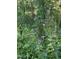 Vibrant view of wildflowers adding color to the naturalized landscape with lush foliage at 19850 Indian Summer Ln, Monument, CO 80132