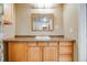 Bathroom vanity with ample counter space, storage cabinets, and mirrored medicine cabinet at 9674 Fox Den Dr, Littleton, CO 80125