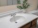 Bright bathroom featuring a white countertop, wood cabinet, and a decorative plant at 3470 S Poplar St. # 110, Denver, CO 80224