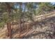 Yard featuring a rustic fence and mature trees on a hillside at 6057 Red Hill Rd, Boulder, CO 80302
