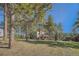 Expansive backyard backing to mature trees for privacy and a natural setting at 25875 Buffalo Ln, Golden, CO 80401