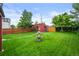 Lush backyard with green lawn, mature trees, water feature, and a charming red outbuilding at 2131 Eliot St, Denver, CO 80211