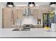 Modern kitchen with stainless steel appliances, sleek cabinets, and a large center island at 3885 Vrain St, Denver, CO 80212