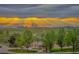 Picturesque park view at sunset with golden light filtering through the trees and open fields at 3466 Craftsbury Dr, Highlands Ranch, CO 80126