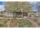 Charming single Gathering home exterior surrounded by a flowering tree at 1289 Diamond Ridge Cir, Castle Rock, CO 80108
