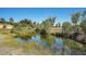 Serene pond with lush vegetation, reflecting trees and sky at 10690 County Road 1, Longmont, CO 80504