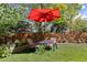 Lush backyard featuring a patio set with a red umbrella, surrounded by manicured green lawn and landscaping at 16225 Peregrine Dr, Parker, CO 80134