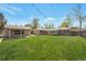Expansive backyard with lush green grass, mature trees, and an inviting outdoor space at 6528 S Louthan St, Littleton, CO 80120