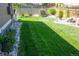 Beautifully landscaped backyard offers a pristine lawn and meticulously maintained greenery at 8371 S Cody Way, Littleton, CO 80128