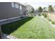 Green backyard featuring an expansive lawn, well-maintained landscaping and rock borders at 8371 S Cody Way, Littleton, CO 80128