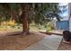 Expansive backyard featuring a mature tree, walkway, and deck with outdoor seating, perfect for relaxation and entertaining at 26095 Columbine Trl, Kittredge, CO 80457