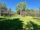 Expansive grassy lawn with mature trees, offering a serene and picturesque setting at 5196 S Williams Dr, Greenwood Village, CO 80121
