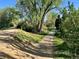 Scenic view of a tranquil walking path splitting into two, surrounded by natural greenery at 5196 S Williams Dr, Greenwood Village, CO 80121