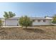 The backyard offers a private retreat with a tree and ample space for outdoor activities at 1101 Dakin St, Denver, CO 80221