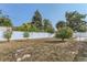 Large backyard featuring a white fence, mature trees, and a concrete patio area at 1101 Dakin St, Denver, CO 80221